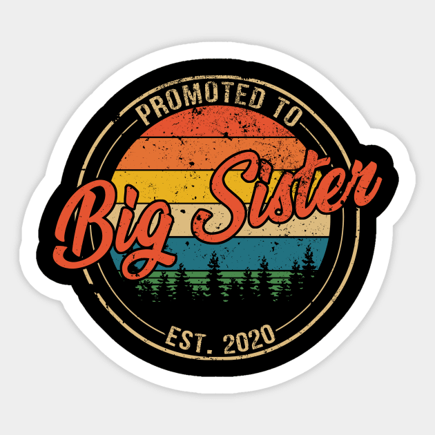 Promoted to Big Sister Est 2020 Mothers Day Gift Sticker by Kagina